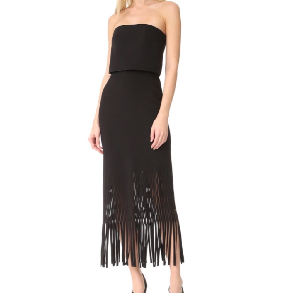 Never been worn Dion Lee strapless fringe dress